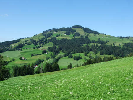 Picturesque pastures and hills in the Appenzellerland area - Canton of Appenzell Innerrhoden, Switzerlandの写真素材
