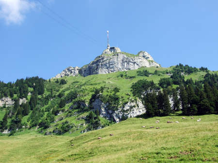 View to the peak Hoher Kasten in mountain mass Alpstein - Canton of Appenzell Innerrhoden, Switzerlandの写真素材