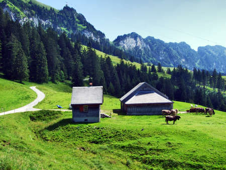 Farms and pastures of the Appenzellerland region - Canton of Appenzell Innerrhoden, Switzerlandの写真素材