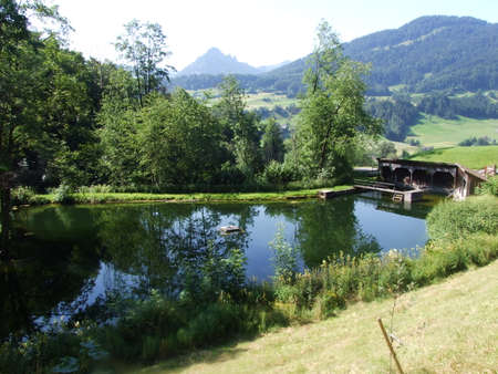 Small private pond in Nesslau - Canton of St. Gallen, Switzerlandの写真素材
