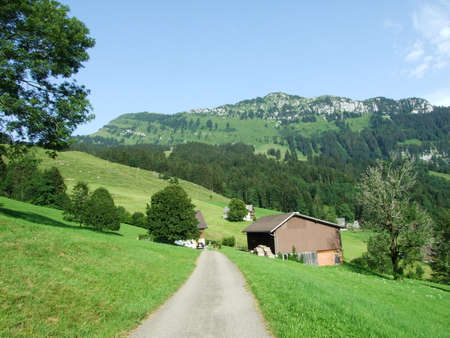 Farms and pastures of the Obertoggenburg region - Canton of St. Gallen, Switzerlandの写真素材