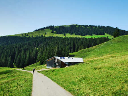 Farms and pastures of the Obertoggenburg region - Canton of St. Gallen, Switzerlandの写真素材