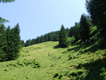 Picturesque pastures and hills of the Obertoggenburg area - Canton of St. Gallen, Switzerlandの写真素材
