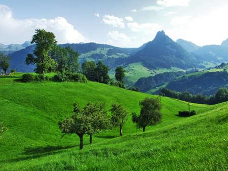 Picturesque pastures and hills of the Obertoggenburg area - Canton of St. Gallen, Switzerlandの写真素材