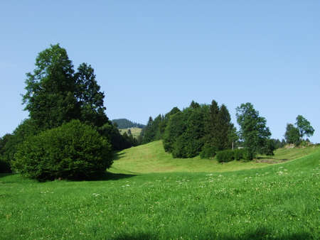 Picturesque pastures and hills of the Obertoggenburg area - Canton of St. Gallen, Switzerlandの写真素材