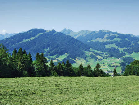 Picturesque pastures and hills of the Obertoggenburg area - Canton of St. Gallen, Switzerlandの写真素材