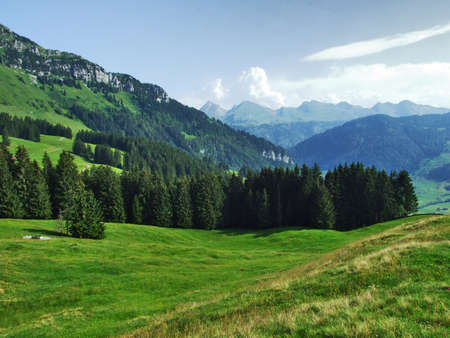 Picturesque pastures and hills of the Obertoggenburg area - Canton of St. Gallen, Switzerlandの写真素材