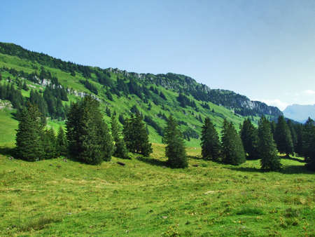 Picturesque pastures and hills of the Obertoggenburg area - Canton of St. Gallen, Switzerlandの写真素材
