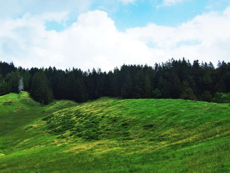Picturesque hills, forests and pastures in Ostschweiz - Canton of Appenzell Ausserrhoden, Switzerland (Schweiz)の写真素材
