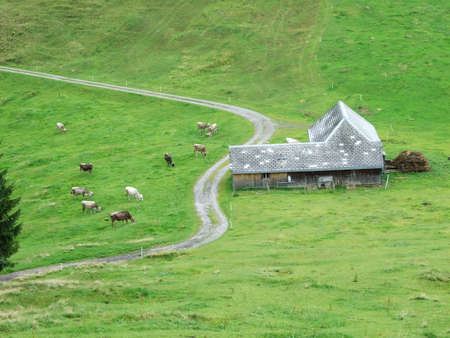 Farms and pastures of the Ostschweiz region - Canton of Appenzell Ausserrhoden, Switzerland (Schweiz)のeditorial素材
