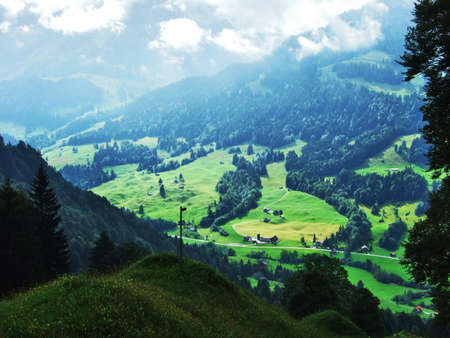 Subalpine forests in the Ostschweiz region - Canton of Appenzell Ausserrhoden, Switzerlandの写真素材