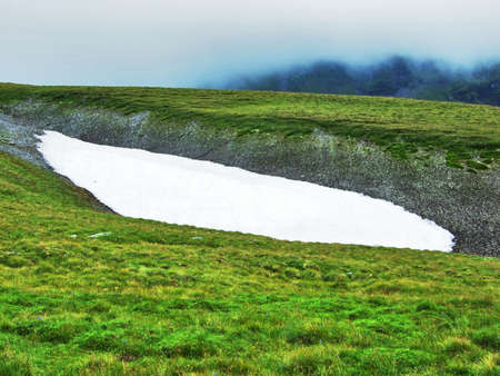 Picturesque pastures and hills in the Ostschweiz region - Canton of St. Gallen, Switzerlandの写真素材