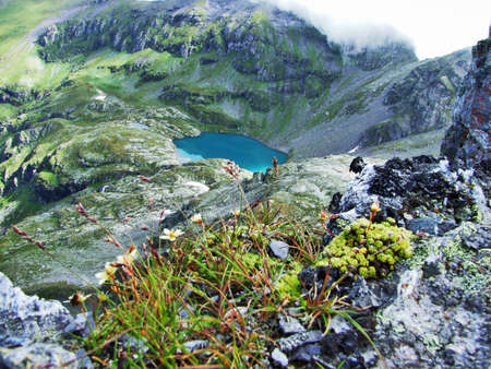 Alpine Lake Wildsee under the Pizol peak in the mountain range Glarus Alps - Canton of St. Gallen,...