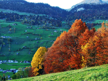 Autumn forest on the slopes of Thur River valley - Canton St. Gallen, Switzerlandの写真素材
