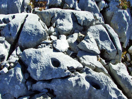 Rocks and stones from the top of Brisi and from the rocky valley Frumseltal - Canton of St. Gallen,...