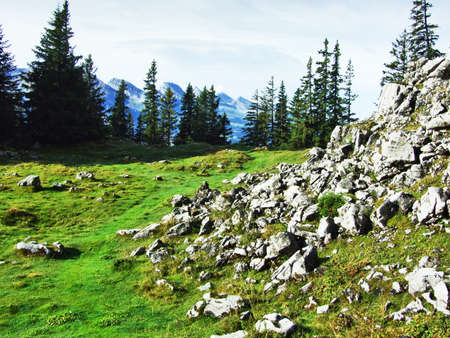 Photogenic pastures and hills of the Alpstein mountain range - Canton of St. Gallen, Switzerlandの写真素材
