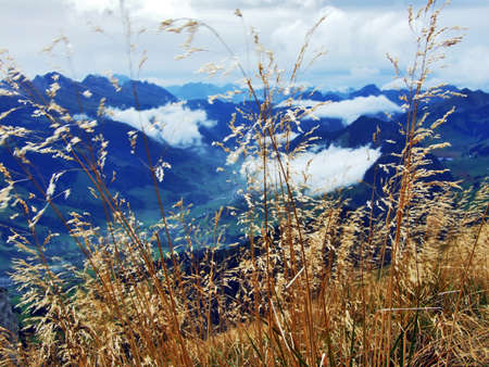 Photogenic pastures and hills of the Alpstein mountain range - Canton of St. Gallen, Switzerland
