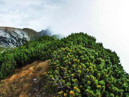 The grassy-rocky elongated peak Gulme or Gulmen in the Alpstein Mountain Range - Canton of St....