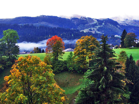 Fall colors in forests of Alpstein mountain range and Thur River valley - Canton St. Gallen, Switzerlandの写真素材