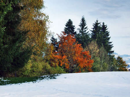 A sudden transition from autumn to winter in the area of the canyon of the Sitter river and...