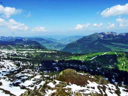 Trees and evergreen forests on the slopes between the Churfirsten mountain range and Thurtal valley - Canton of St. Gallen, Switzerlandの写真素材