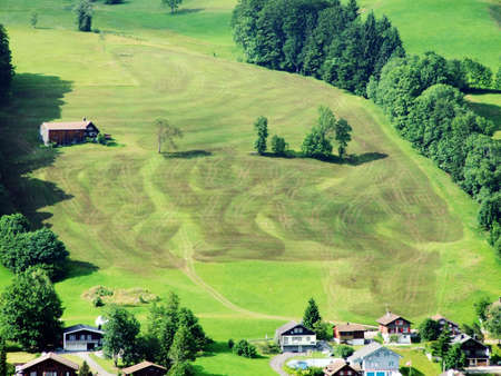 Alpine pastures and meadows on the slopes of Churfirsten mountain range in the Toggenburg region -...