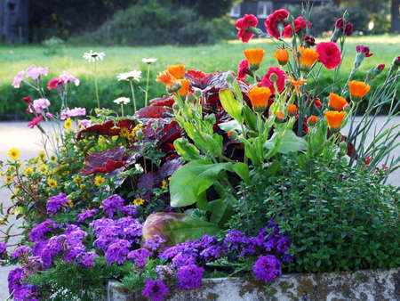 Garden flowers as a street decoration in the Unterwasser settlement - Canton of St. Gallen, Switzerlandの写真素材