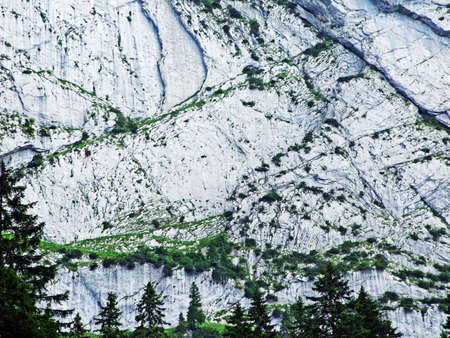 Stones and rocks of Alpstein mountain range - Cantons of St. Gallen and Appenzell Innerrhoden,...