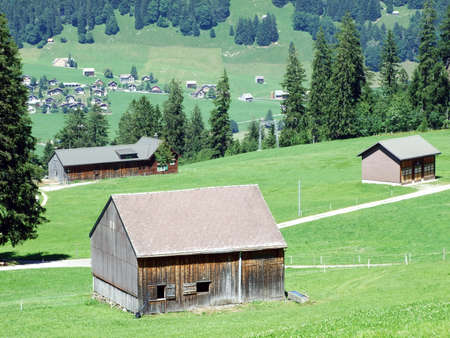 Rural traditional architecture and livestock farms on the slopes of the Alviergruppe mountain range - Canton of St. Gallen, Switzerlandの写真素材