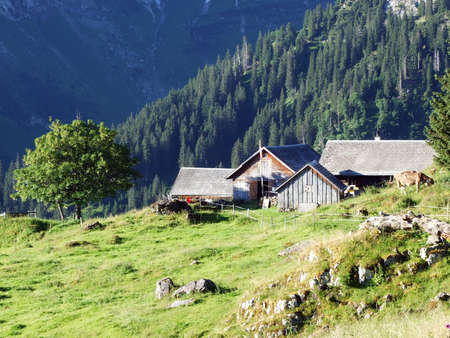 Rural traditional architecture and livestock farms on the slopes of the Alviergruppe mountain range - Canton of St. Gallen, Switzerlandの写真素材