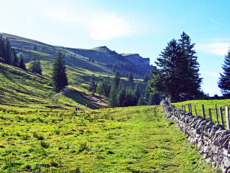 Alpine pastures and grasslands on the slopes of the Alpstein mountain massif and in the Rhine river valley (Rheintal) - Canton of St. Gallen (SG), Switzerlandの写真素材