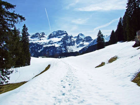 An idyllic snow fairy tale in the early spring at the foot of the Churfirsten Alpine Range, Wildhaus - Canton of St. Gallen, Switzerlandの写真素材