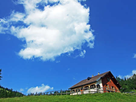 Cattle farms and traditional architecture in the Saminatal alpine valley and in the Liechtenstein Alps mountain range - Steg, Liechtensteinの写真素材