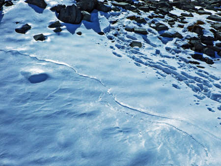 snow texture background.