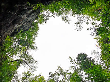 Mixed forest in the canyon and vegetation in the Rak river valley, Cerknica - Notranjska Regional Park, Slovenia (Krajinski park Rakov Å kocjan, Slovenija)の写真素材