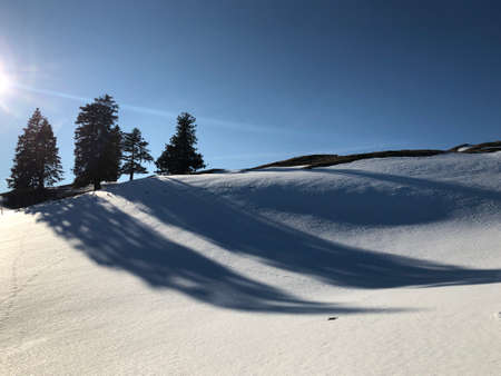 Snow cover on Mount Rigi and Alpine landscape in early spring - Cantons of Lucerne and Schwyz, Switzerlandの写真素材