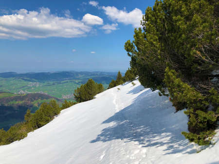 Snow cover in early spring on the Alpstein mountain range and in the Appenzellerland region - Canton of Appenzell Innerrhoden (AI), Switzerlandの写真素材