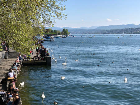 Lake Zurich or Der ZÃ¼richsee (Zuerichsee or Zurichsee) in the city of Zurich, Switzerlandの写真素材