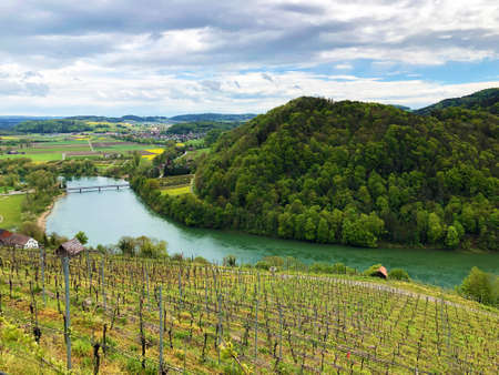 Photogenic vineyards and lowland forests in the Rhine valley, Buchberg - Canton of Schaffhausen, Switzerlandの写真素材