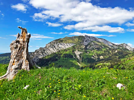Chopfenberg or Choepfenberg Mountain above the valley Wagital or Waegital and alpine Lake Wagitalersee (Waegitalersee), Innerthal - Canton of Schwyz, Switzerlandの写真素材