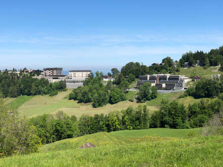 Alpine pastures and meadows on the glades on the slopes of the Mountain BÃ¼rgenstock (Buergenstock...