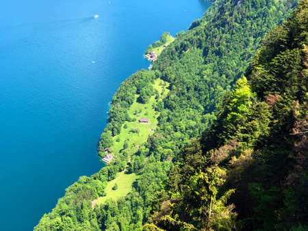Mixed trees and deciduous forests on the the slopes of the Mountain BÃ¼rgenstock or Buergenstock above Lake Luzerne or Vierwaldstaettersee  or Vierwaldsattersee - Canton of Nidwalden, Switzerlandの写真素材