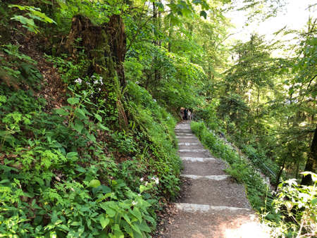Felsenweg BÃ¼rgenstock (Burgenstock or Buergenstock) - Educational trail with a view, ObbÃ¼rgen...