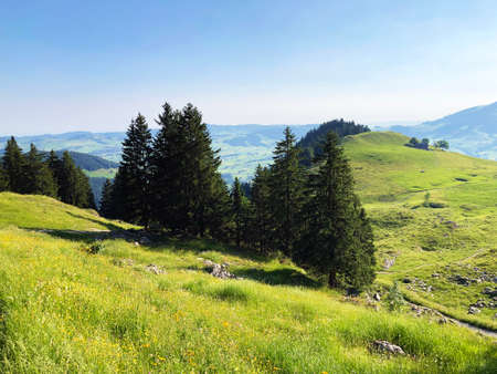 Alpine pastures and meadows in the Apenzellerland region and in the Schwendebach steam valley - Canton of Appenzell Innerrhoden (AI), Switzerlandの写真素材