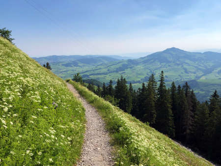Hiking and walking trails on the Ebenalp Mountain and in the Appenzellerland Tourist Region - Canton of Appenzell Innerrhoden (AI), Switzerlandの写真素材