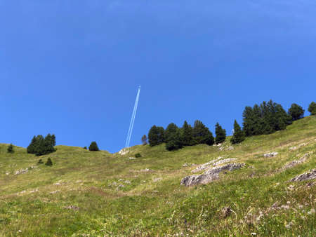 Alpine pastures and grasslands in the Oberseetal alpine valley, Nafels (NÃ¤fels or Naefels) -...