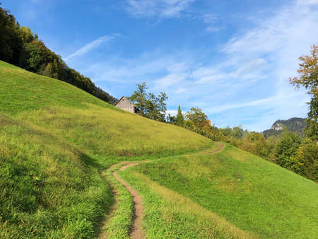 Hiking and walking trails on the slopes of the lake Lucerne or Vierwaldstaetersee lake (Vierwaldstattersee) and Alpnachersee Lake, Alpnach - Canton of Obwalden, Switzerland / Schweizの写真素材