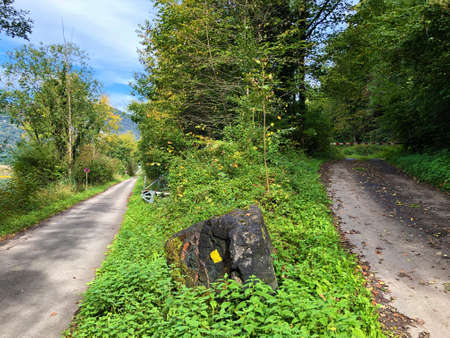 Walking and recreational trails along the alpine lake Alpnachersee, Alpnach - Canton of Obwalden, Switzerland / Schweizの写真素材