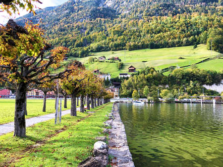 Walking and recreational trails along the alpine lake Alpnachersee, Alpnach - Canton of Obwalden, Switzerland / Schweizの写真素材