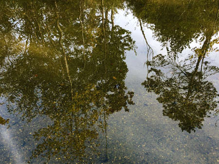 The Kleine Schliere stream or Die Kleine Schliere Wildbach, Alpnach - Canton of Obwalden,...
